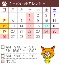 11���̐f�ÃJ�����_�[